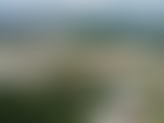 Zona Franca de Manaus e 9 Áreas de Livre Comércio do Norte podem ser as únicas beneficiadas com incentivo fiscal após reforma