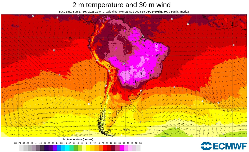 Alerta: Onda de calor excepcional atinge todas as regiões do Brasil e gera risco à vida