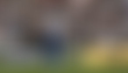 É festa! Com 63 mil torcedores e golaço de Getúlio, Vasco vence o líder Cruzeiro no Maracanã