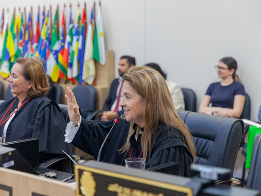 Após 47 anos de atuação, Des.ª Maria das Graças Figueiredo é homenageada em sua última participação na Sessão do Pleno, antes da aposentadoria