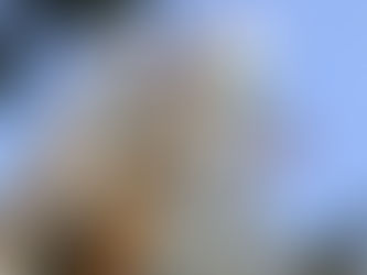 TJAM rebate ataques de Ronaldo Tiradentes contra membros do Judiciário no AM