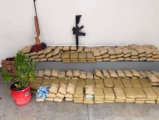 Casal é preso em Manaus com 300 kg de maconha: os dois armazenavam e distribuiam a droga