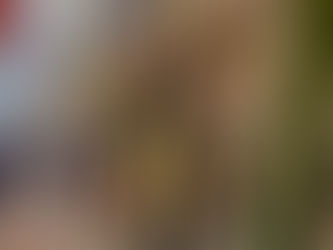 (VÍDEO) Galerosos marcam 'rolezinho' no Manauara Shopping e causam confusão generalizada