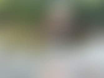 Ossada de funcionário público, vítima do acidente em ponte na BR-319 é encontrada