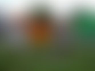 O trabalho não para: Prefeitura de Manaus realiza o primeiro mutirão de limpeza de 2022