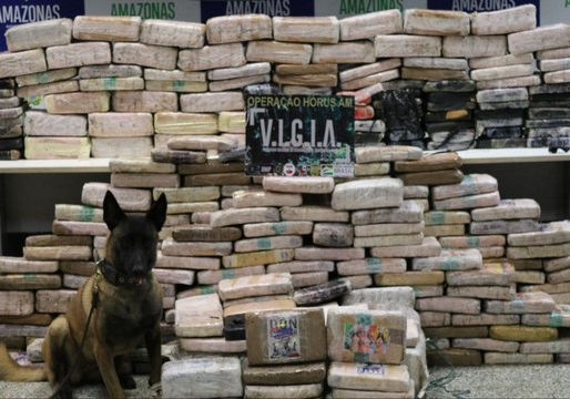 SSP-AM e PF apreendem 759 kg de drogas na comunidade Santa Maria, na calha do Rio Negro