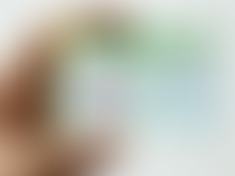 CNH sem autoescola: proposta do governo gera atrito com o setor , que prevê o fechamento de cerca de 15 mil empresas