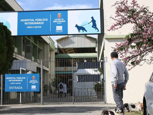Exemplo! São Paulo inaugura nova unidade de hospital veterinário público