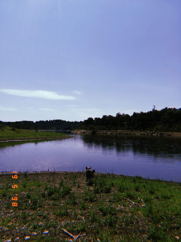 20180519_125718_0.jpeg