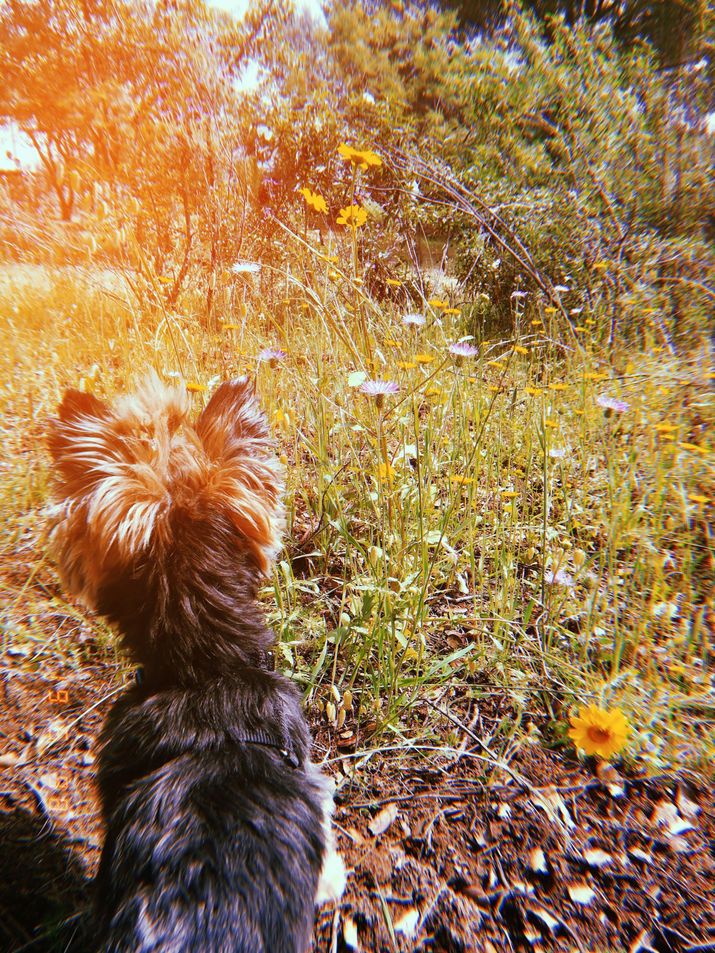 20180519_121803_0.jpeg