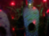 image2.jpeg