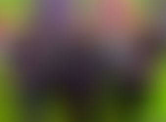 FUNdraising with Laser Tag