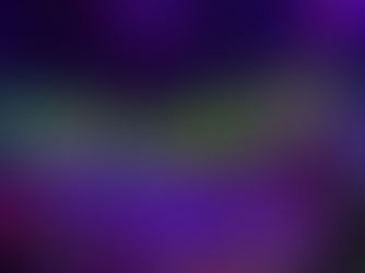 An Arena That Makes You Say “W.O.W.”