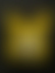 The Q-2000 Prototype