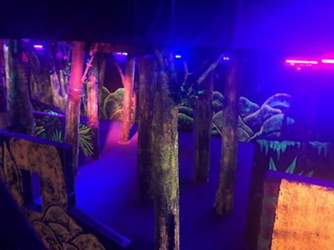 Arena - trees 2.jpeg