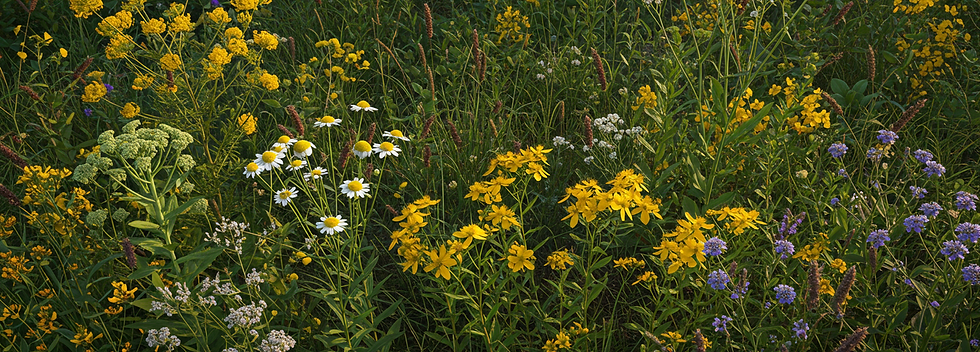 Happy patient sharing testimonial at Medica Homeopathy