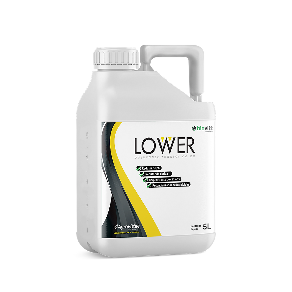 Lower interna.png