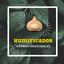 Foto del escritor: Humificador Hierbas Medicinales