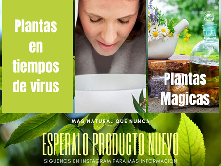 ¿Cómo consumir las hierbas medicinales en este tiempo de pandemia?