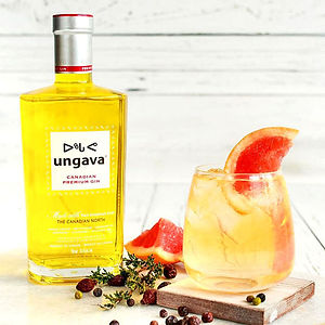 UNGAVA