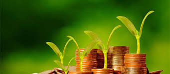 finanzas agricola