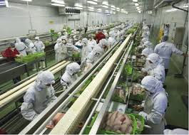 Agroindustria