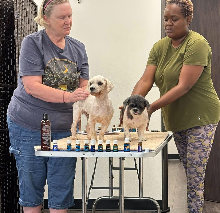 Pablo - rain drop_edited.jpg