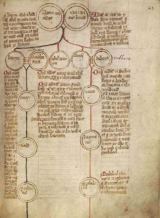 The Etymology of Pedigree – Useless Etymology