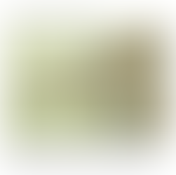 pour la planète faire moins d'enfants