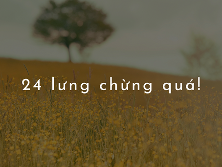 24 lưng chừng