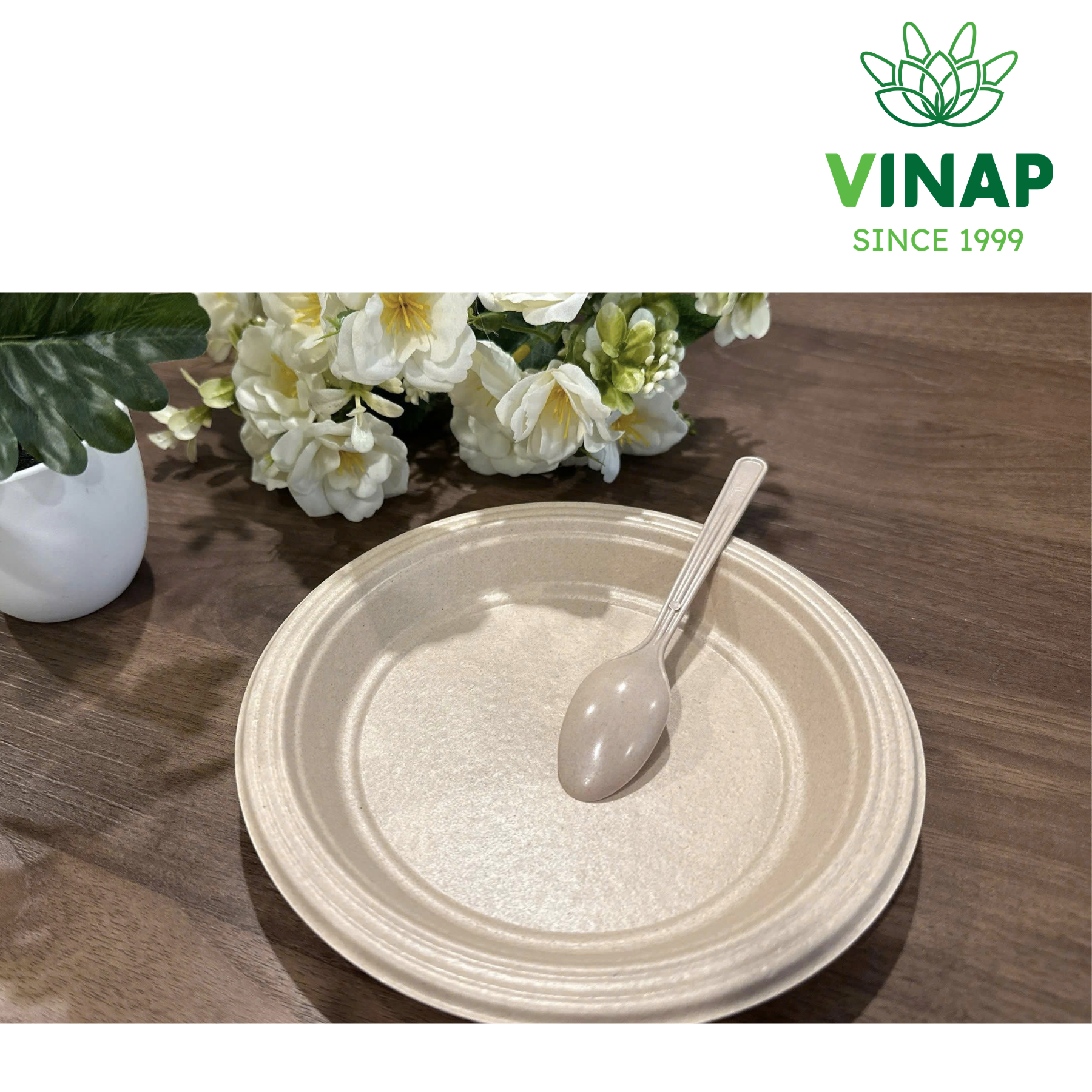 GoBio Plate 22cm