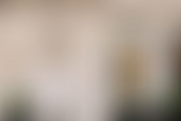 ArtLuxury Experience