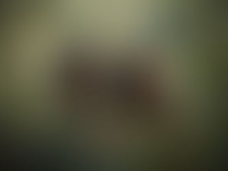 Exploring Connection: Rebuilding Communities 