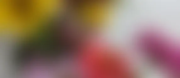 🏵️28 days left until Regional Canada🏵️