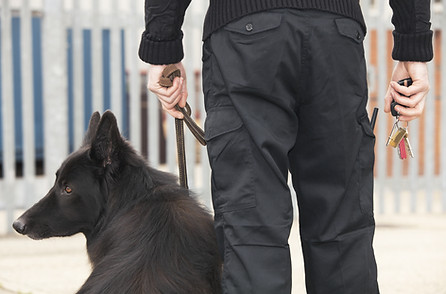 Security Guard with Dog