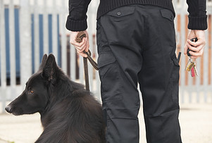 Security Guard with Dog