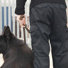 Security Guard with Dog