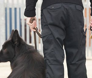Security Guard with Dog