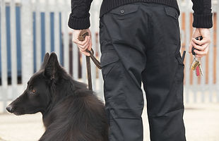 犬と警備員