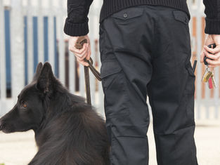 Trump’s Border Enforcement Plans: Targeted Operations to Begin Next Week