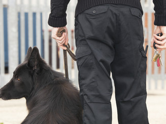 Security Guard with Dog