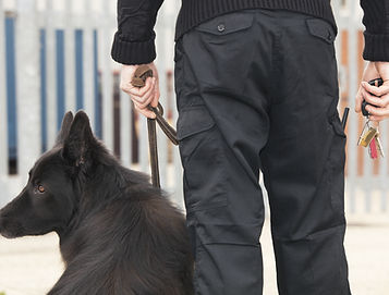Security Guard with Dog
