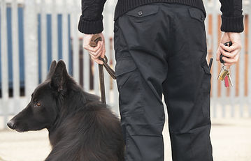 Security Guard with Dog