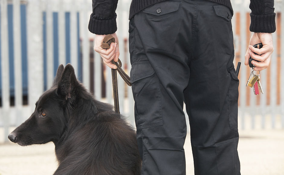 Garde de sécurité avec chien