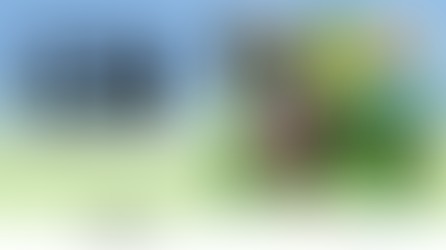 ビジネスで地球を救え!CSIチャレンジ最新情報