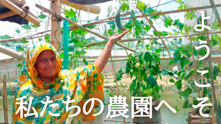 家庭菜園支援と市場の建設で、ロヒンギャ難民と受け入れ地域を応援！