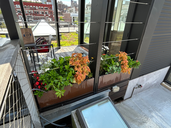 Planter boxes with colorful blooms on a rooftop terrace next to windows