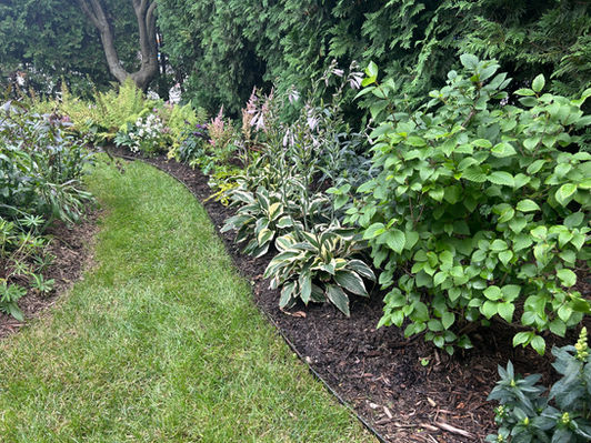 A lush garden path with green grass and various colorful plants christygardense