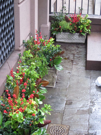 Green and red plants in decorative planters on stone patio christygardens