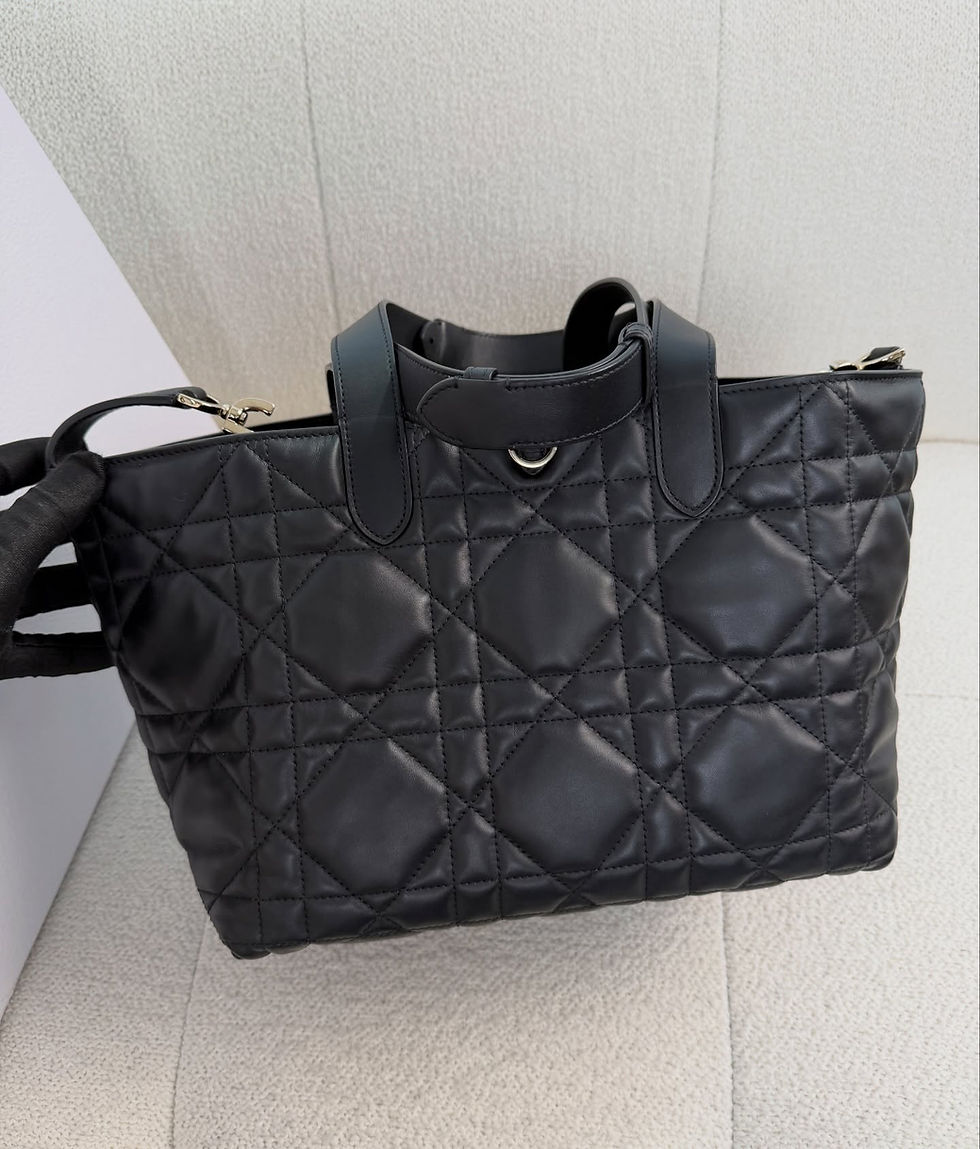 Thumbnail: Dior Full Set Medium Toujours Bag (2024)